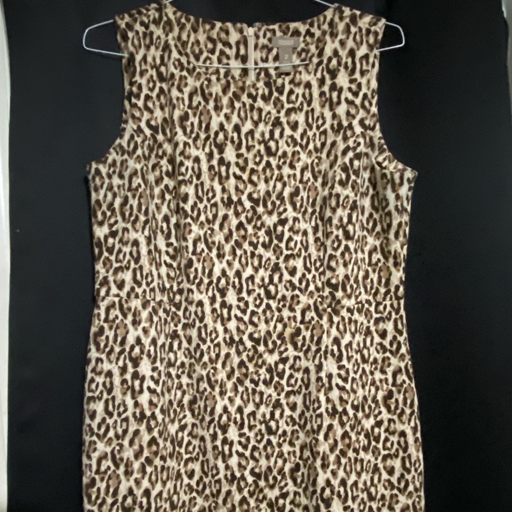 Chico’s animal print dress